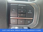 2023 F-150 Lightning Thumbnail 17