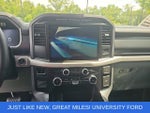 2023 F-150 Lightning Thumbnail 19