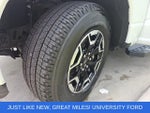 2023 F-150 Lightning Thumbnail 29