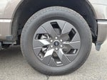 2023 F-150 Lightning Thumbnail 22