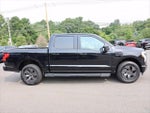 2022 F-150 Lightning Thumbnail 8