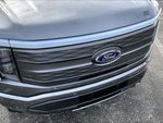2022 F-150 Lightning Thumbnail 29