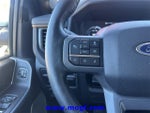 2023 F-150 Lightning Thumbnail 18