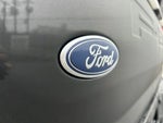 2023 F-150 Lightning Thumbnail 31
