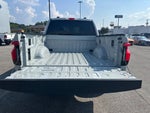 2023 F-150 Lightning Thumbnail 15