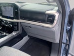 2023 F-150 Lightning Thumbnail 18