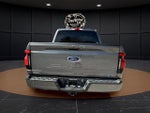 2023 F-150 Lightning Thumbnail 6