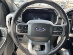 2023 F-150 Lightning Thumbnail 28