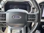 2023 F-150 Lightning Thumbnail 29