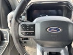 2023 F-150 Lightning Thumbnail 30