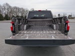 2023 F-150 Lightning Thumbnail 31