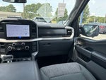 2023 F-150 Lightning Thumbnail 15