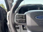 2023 F-150 Lightning Thumbnail 26
