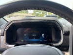 2023 F-150 Lightning Thumbnail 28