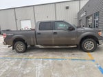 2013 F-150 Thumbnail 3