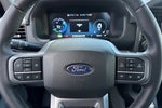 2025 F-150 Lightning Thumbnail 22