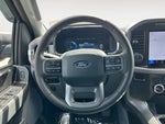 2024 F-150 Lightning Thumbnail 13