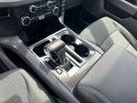 2024 F-150 Lightning Thumbnail 18
