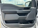 2024 F-150 Lightning Thumbnail 20