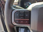 2025 F-150 Lightning Thumbnail 19