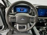2024 F-150 Lightning Thumbnail 10
