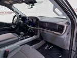2024 F-150 Lightning Thumbnail 28