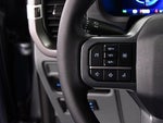2025 F-150 Lightning Thumbnail 23