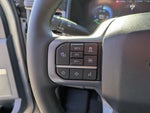 2025 F-150 Lightning Thumbnail 20