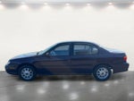 1999 Malibu Thumbnail 20