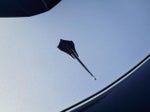 2021 Corvette Thumbnail 14