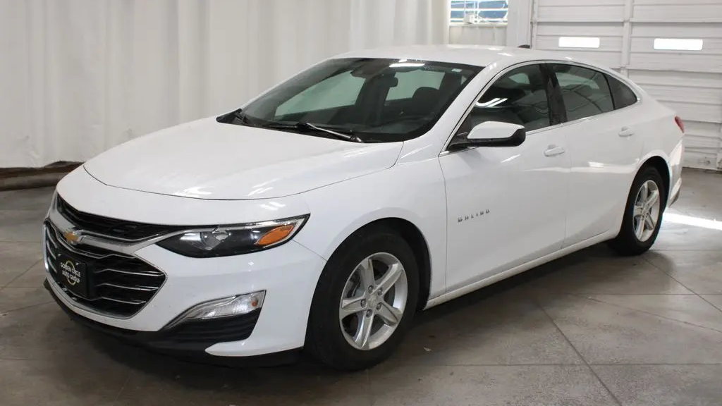 2019 Chevrolet Malibu LS Fleet
