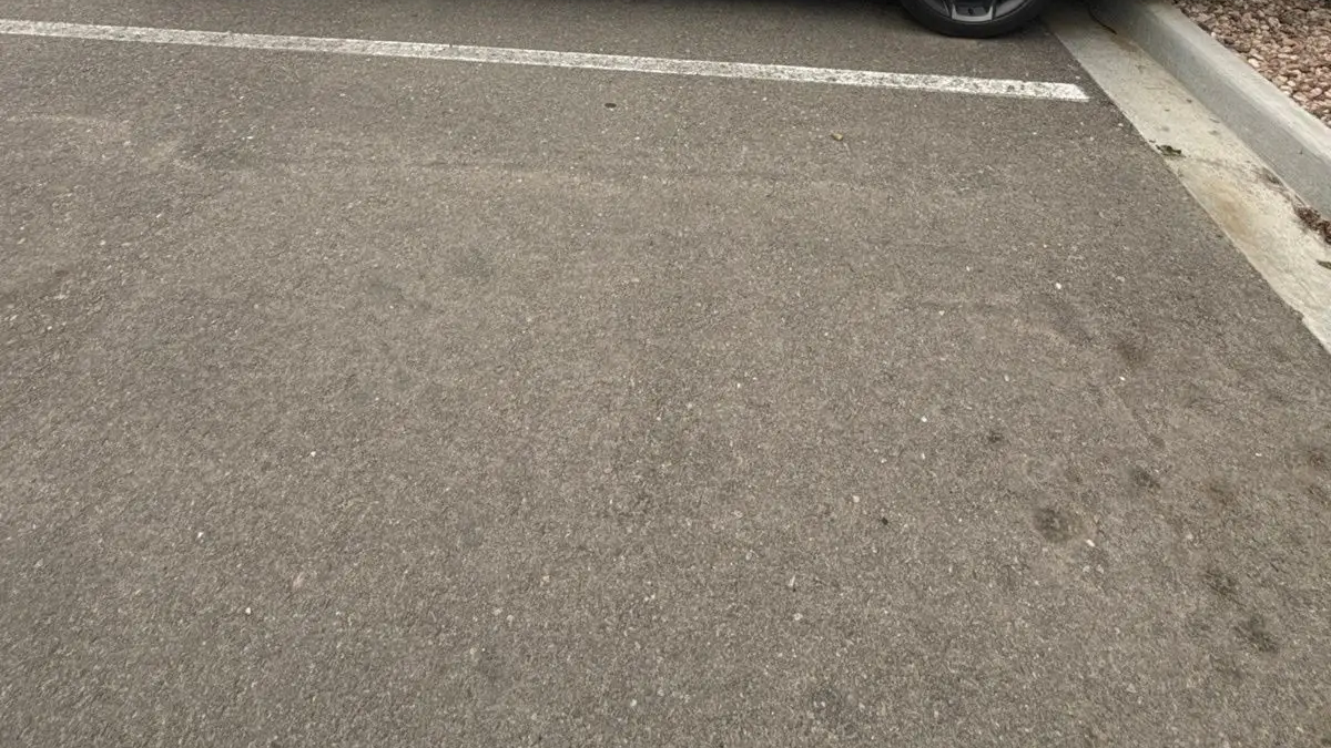 2019 Chevrolet Malibu RS