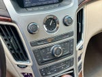 2010 CTS Thumbnail 13