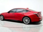 2020 CT5-V Thumbnail 7