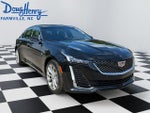 2024 CT5 Thumbnail 7