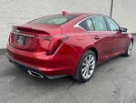 2020 CT5 Thumbnail 5