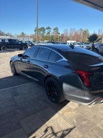 2020 CT5 Thumbnail 5