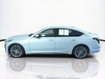 2022 CT5 Thumbnail 8