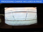 2025 Express Thumbnail 8