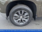 2023 Silverado 1500 Thumbnail 10