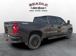 2021 Silverado 1500 Thumbnail 7