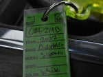 2022 Silverado 1500 Thumbnail 43