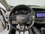 2019 XT4 Thumbnail 11
