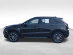 2024 XT4 Thumbnail 6