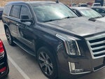 2017 Escalade Thumbnail 4