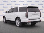 2024 Escalade Thumbnail 4