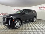 2024 Escalade Thumbnail 5