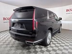 2024 Escalade Thumbnail 11