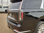 2024 Escalade Thumbnail 11