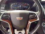 2018 Escalade Thumbnail 14